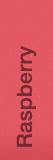 Raspberry