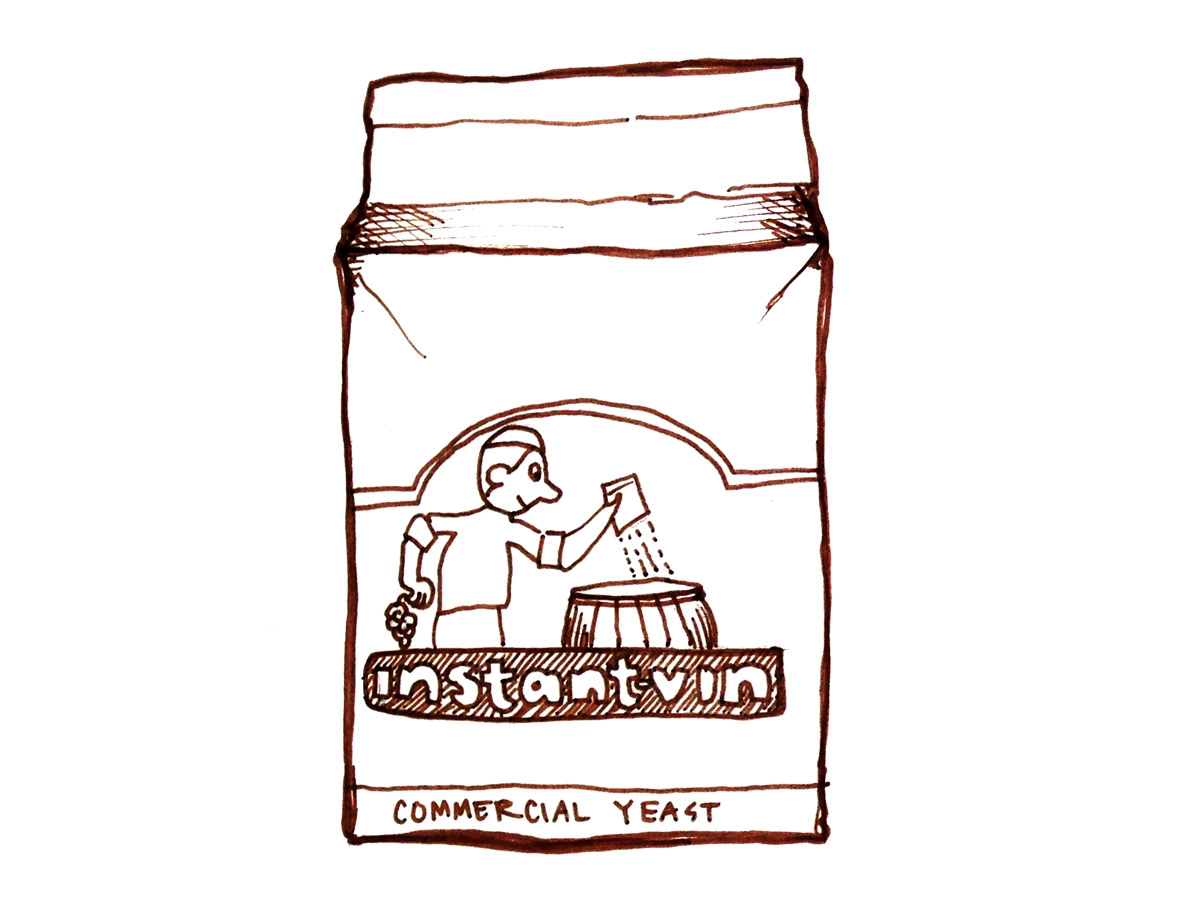 commercial wine yeast