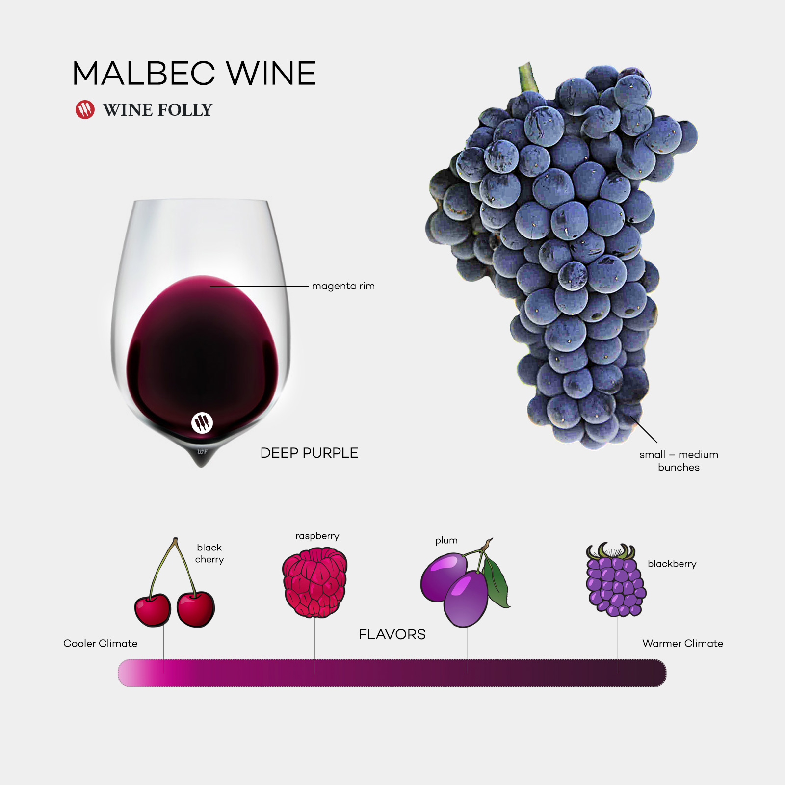Drink Smarter: Malbec