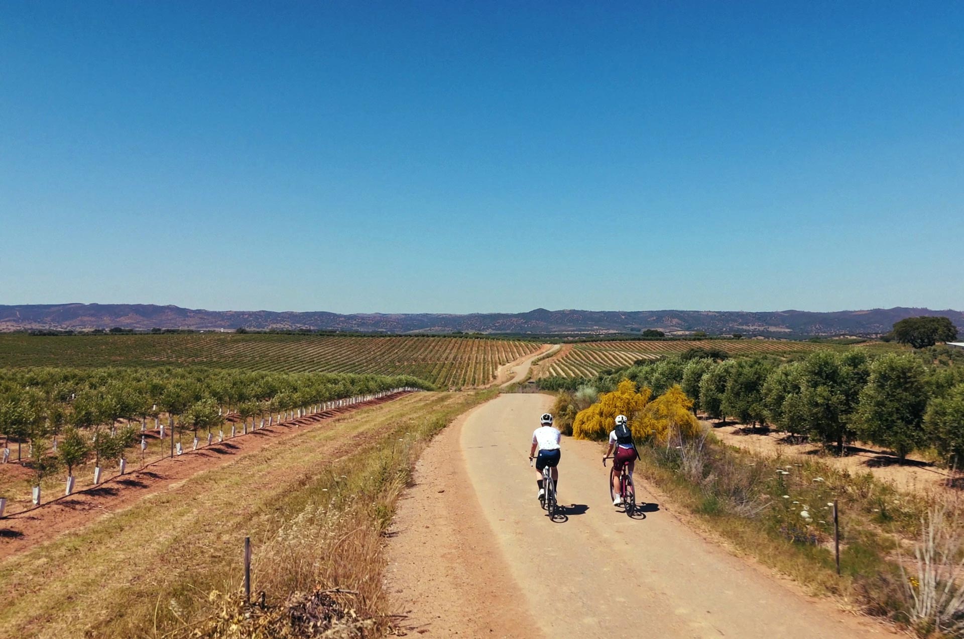 Mapped-Wine-Folly-Wine-Cycling-Show-Madeline-Puckette