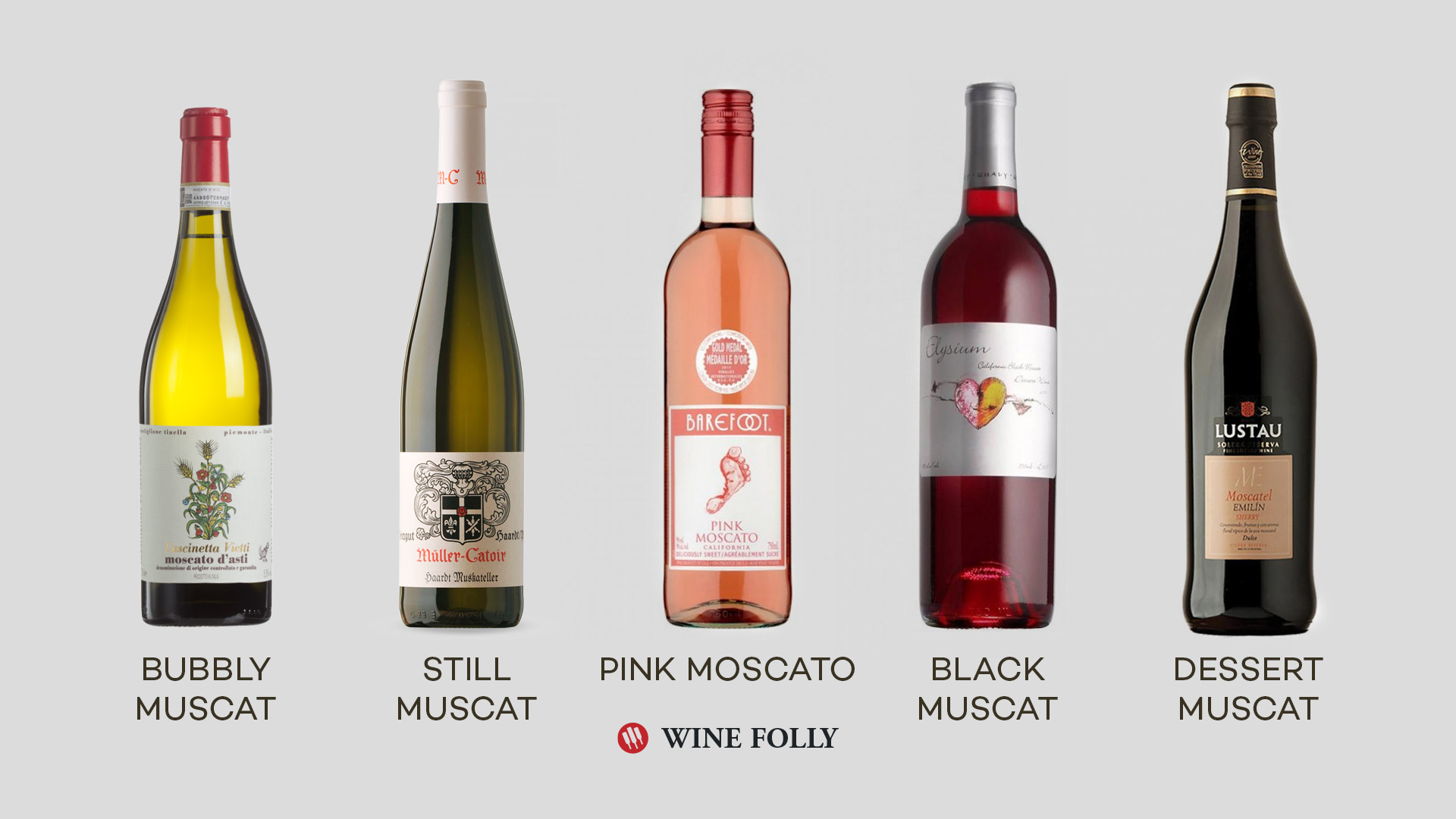 The primary styles of Moscato wine - examples Moscato d'Asti, Still Moskateller, dry Moscatel, Pink Moscato, Red Moscato, Black Muscat, Sherry, Moscatel de Setubal, Rutherglen Muscat by Wine Folly