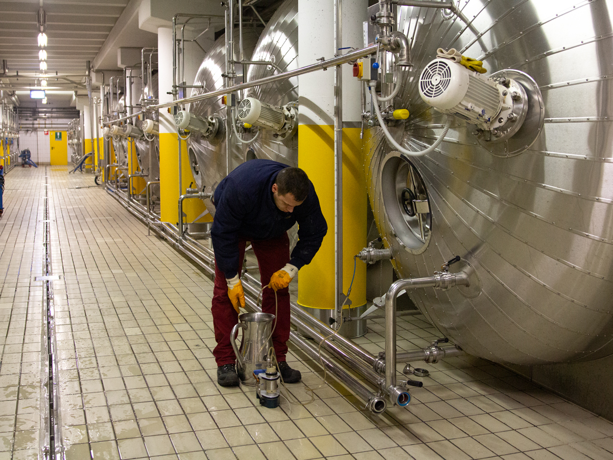 A photo of a man working in a cellar surrounded by large charmat-style prosecco fermentation tanks in Northeastern Italy