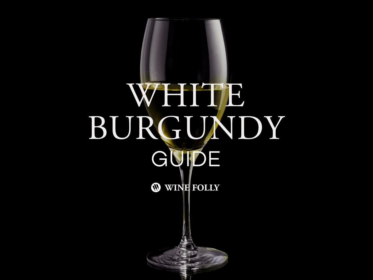 A Guide to White Burgundy, A French Chardonnay by Wine Folly