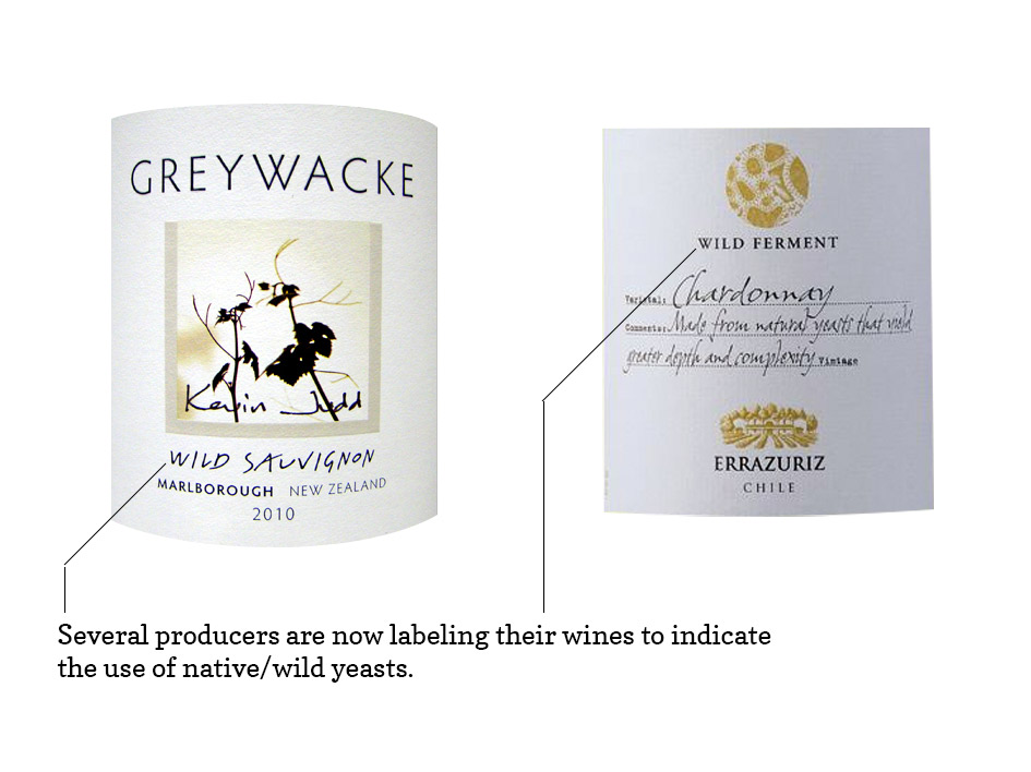 Wild Yeast Label Wines