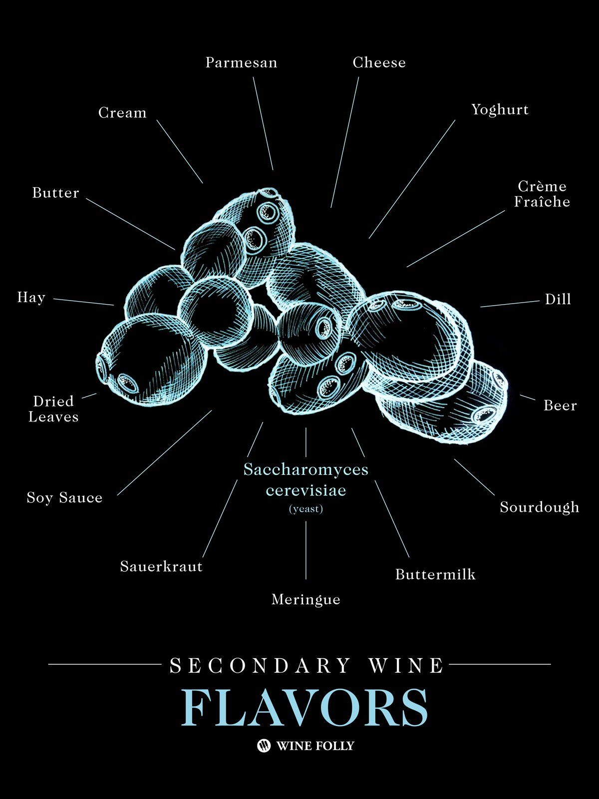 yeast-flavors-in-wine-winefolly